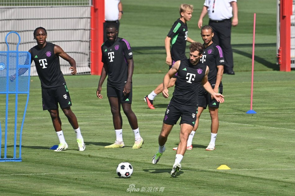 称完美的发 称完美的发