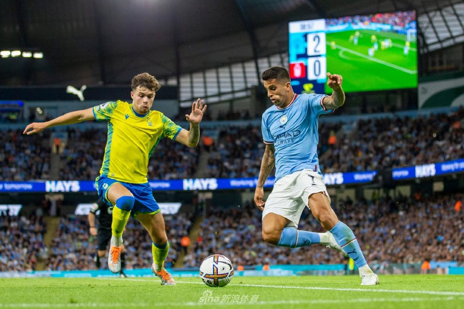 是大牌效应 是大牌效应